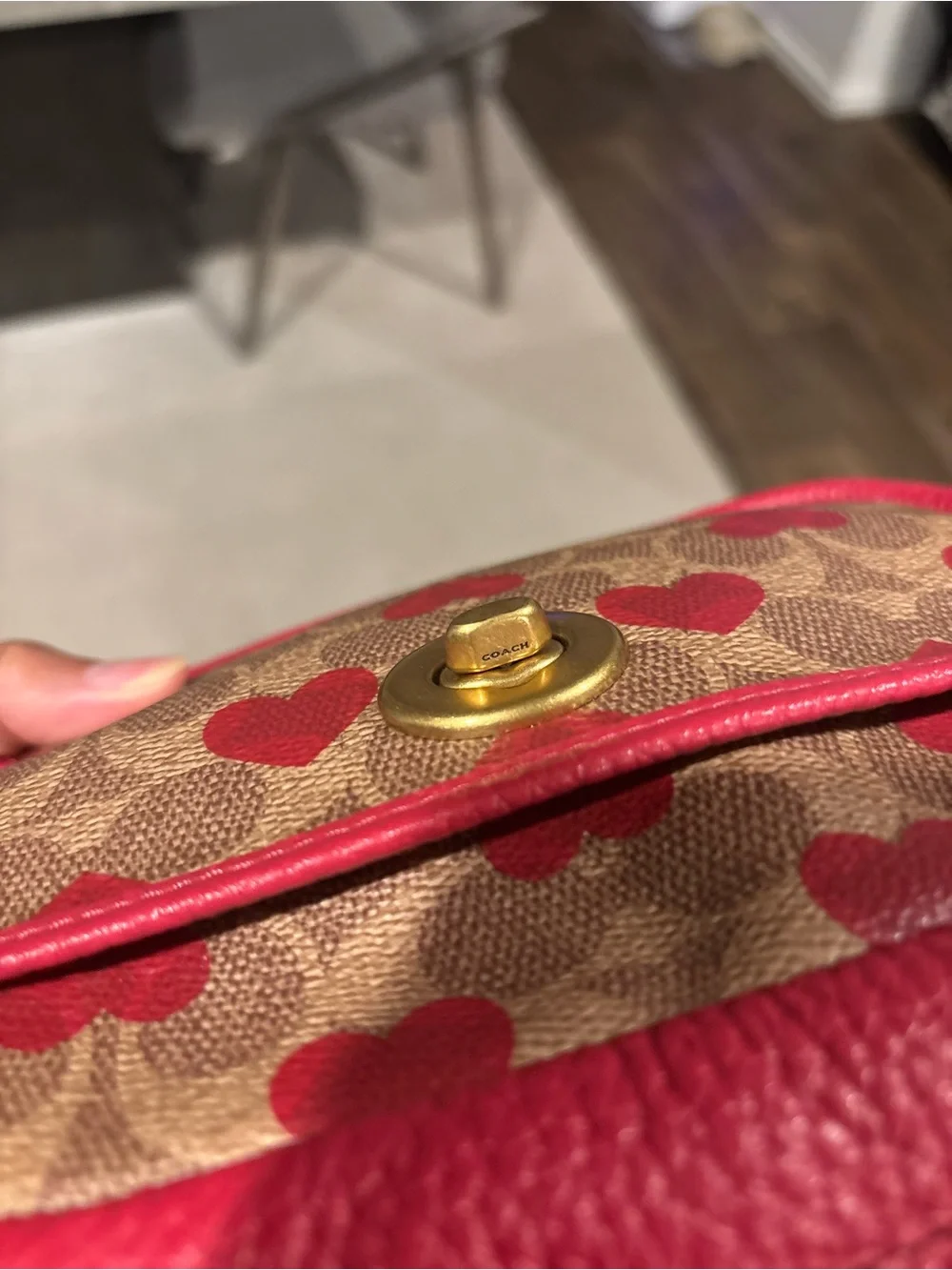 COACH Camera Heart Bag | Red and Brown | Medium